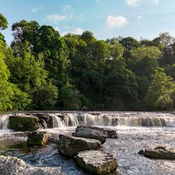 Small waterfall flowing over rocks with lush green trees in the background