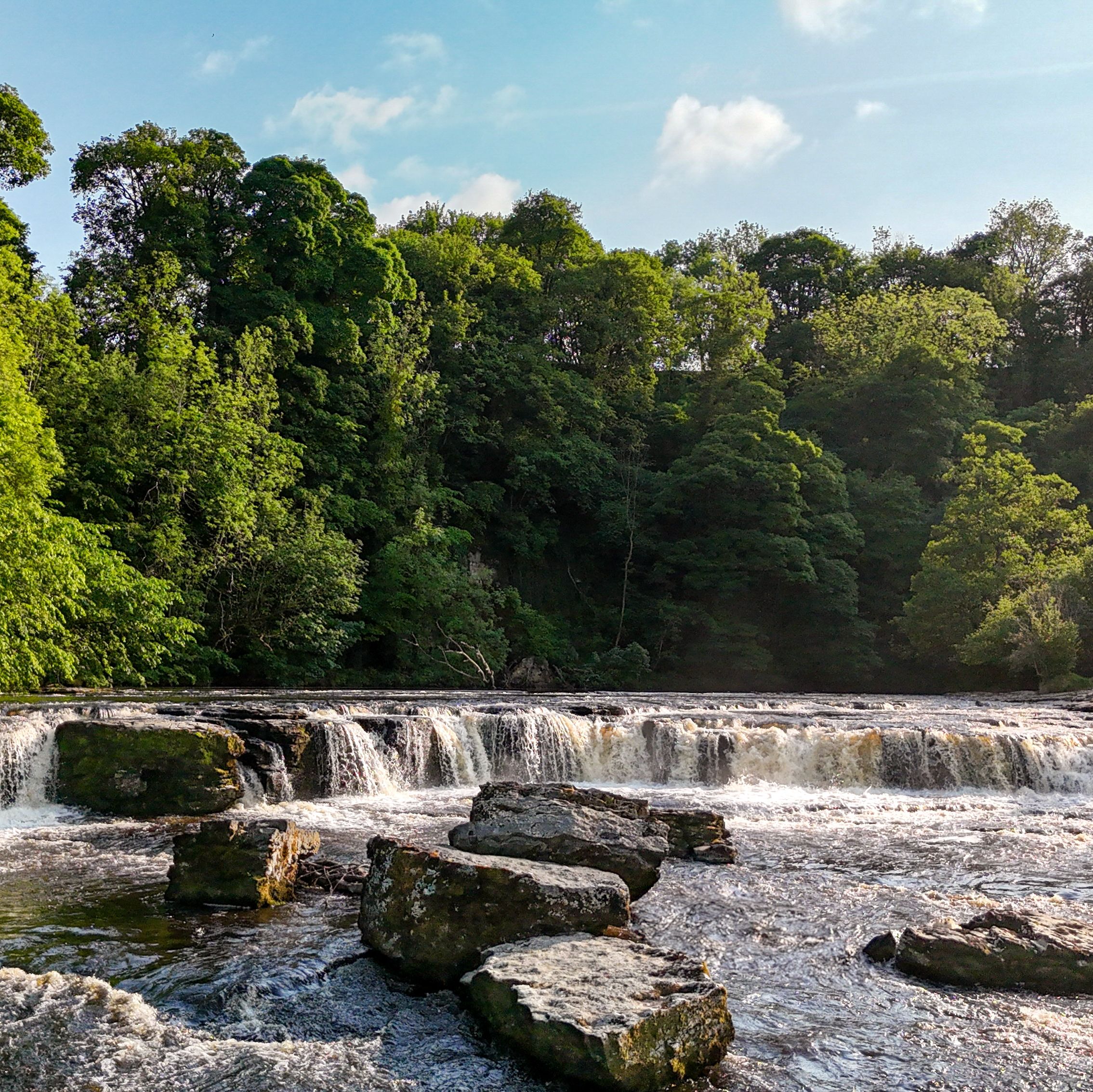 Small waterfall flowing over rocks with lush green trees in the background