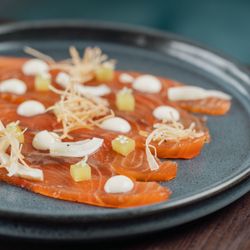 Gourmet plated salmon carpaccio with garnishes