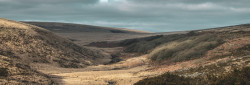 dartmoor walks