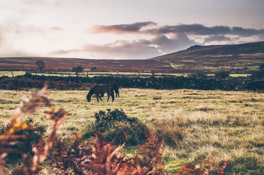 jill-dimond-MOCJPXujeRg-unsplash