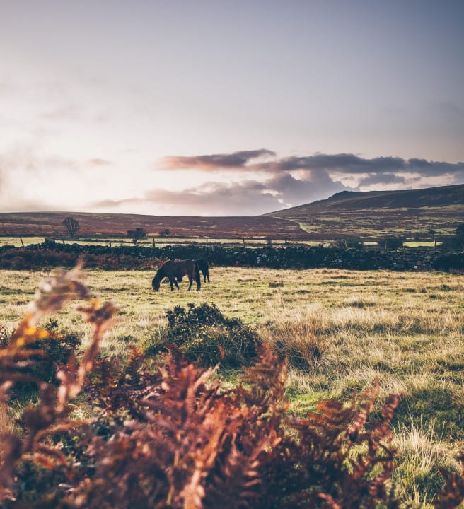 jill-dimond-MOCJPXujeRg-unsplash