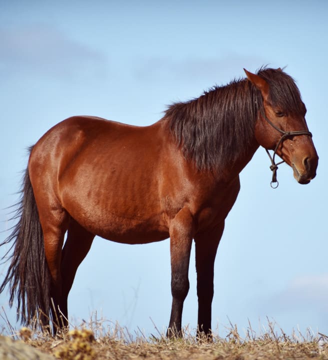 mauro-sbicego-23fOvHwCfkg-unsplash