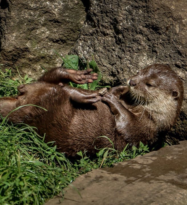 ray-harrington-yGUp8TIGl3c-unsplash