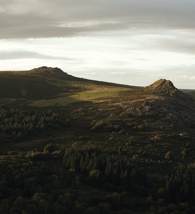 Dartmoor Walks
