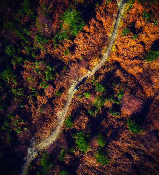 red-zeppelin-lVq9vpdjfrU-unsplash