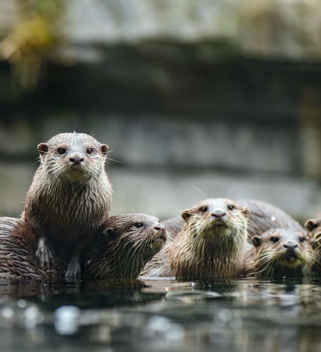 lilian-dibbern-dqhRSGrFq-o-unsplash