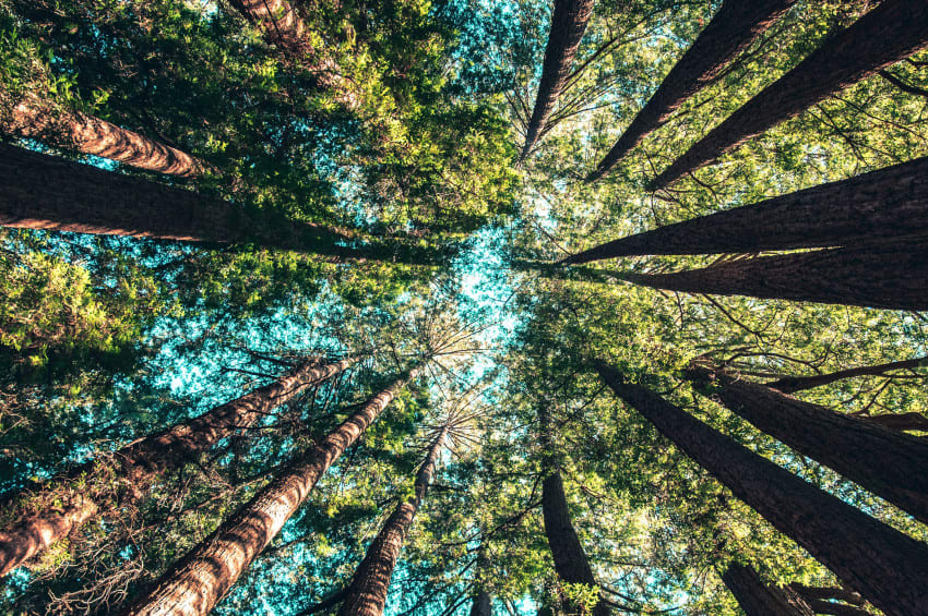 casey-horner-4rDCa5hBlCs-unsplash