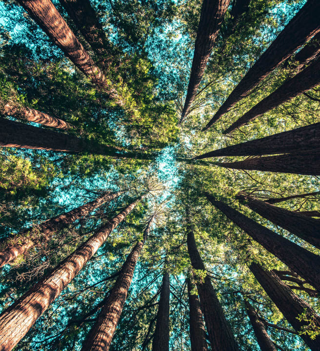 casey-horner-4rDCa5hBlCs-unsplash