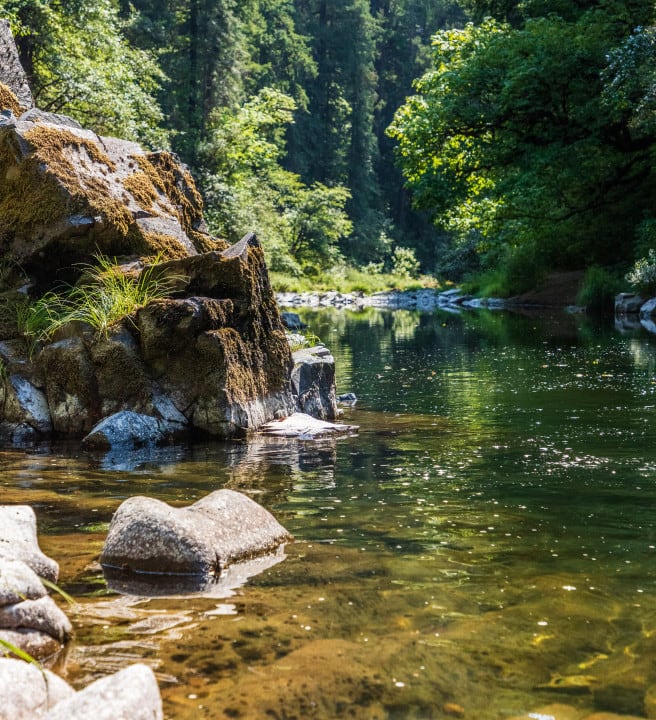 taylor-r-clkI9_xcuis-unsplash