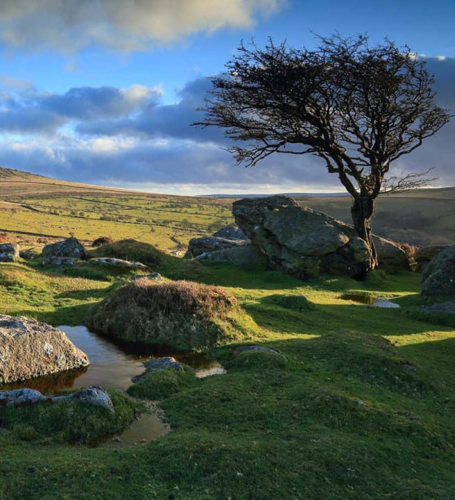Walking Holidays in Dartmoor