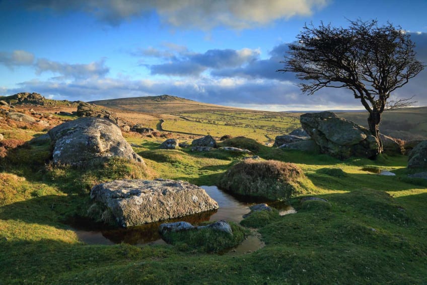 Walking Holidays in Dartmoor