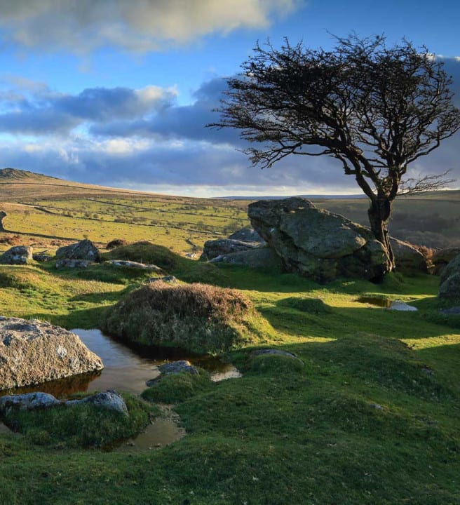 Walking Holidays in Dartmoor