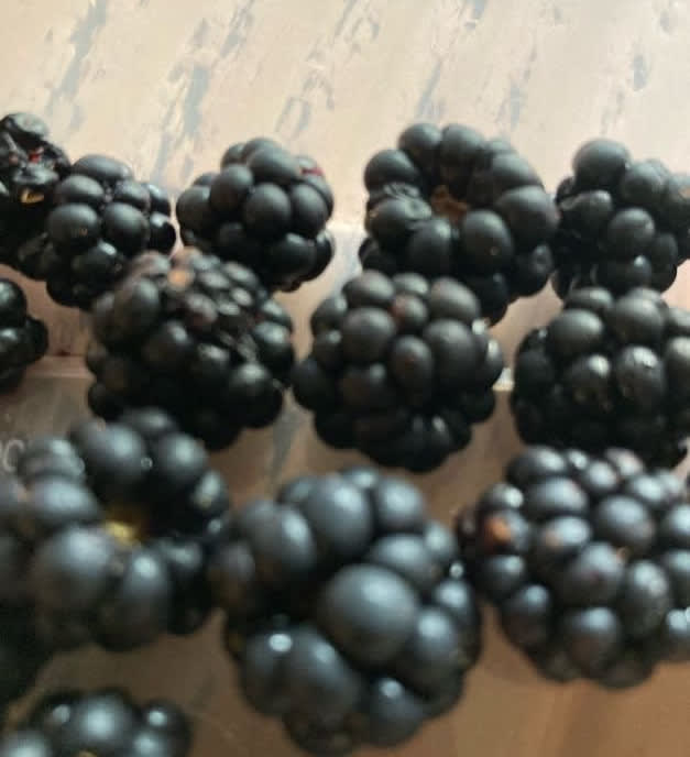 Local fruit from Dartmoor