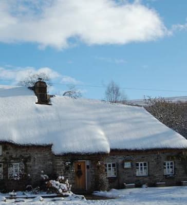 Snowy dog friendly pub