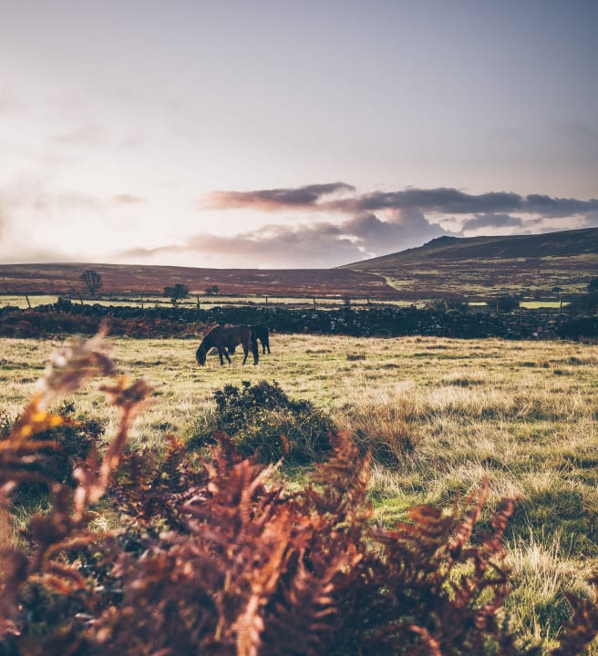 Dartmoor