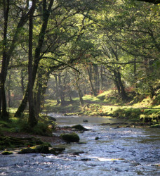 River Tavy