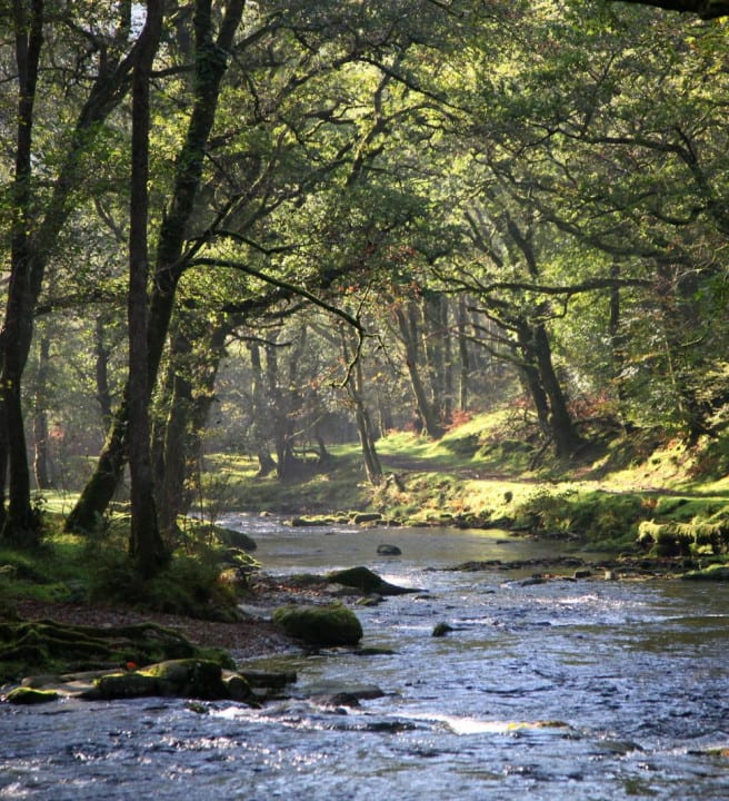 River Tavy