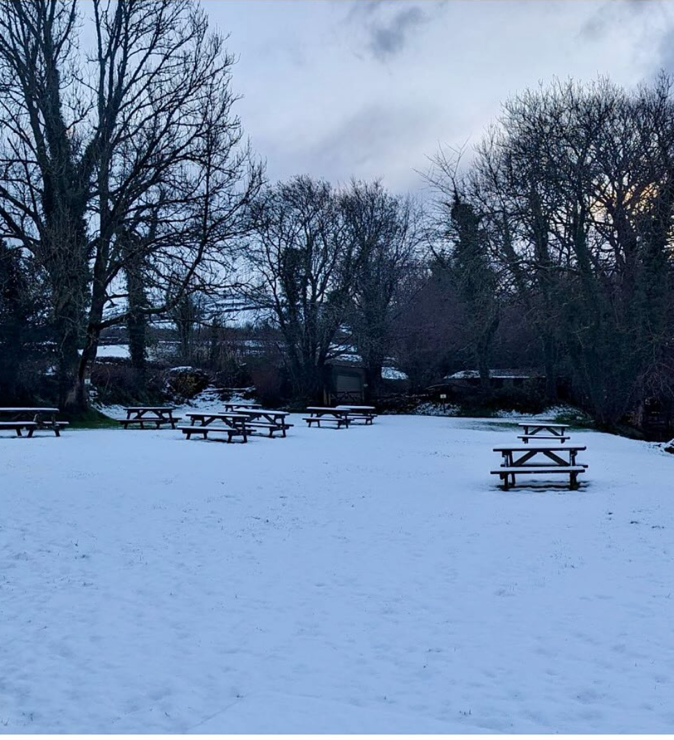 dog-friendly hotels on Dartmoor