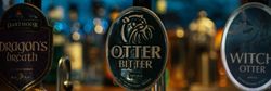 Beer tap handles at a bar displaying labels for Dragon's Breath, Otter Bitter, and Witch Otter.