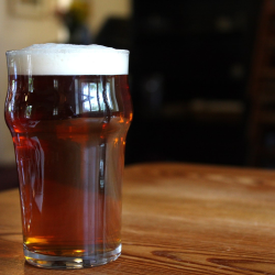 local pale ale