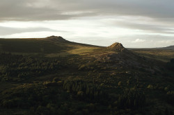 Dartmoor Walks