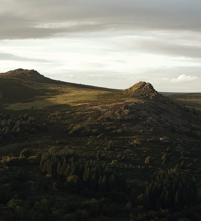 Dartmoor Walks