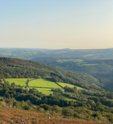 Dartmoor Walks