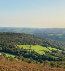 Dartmoor Walks