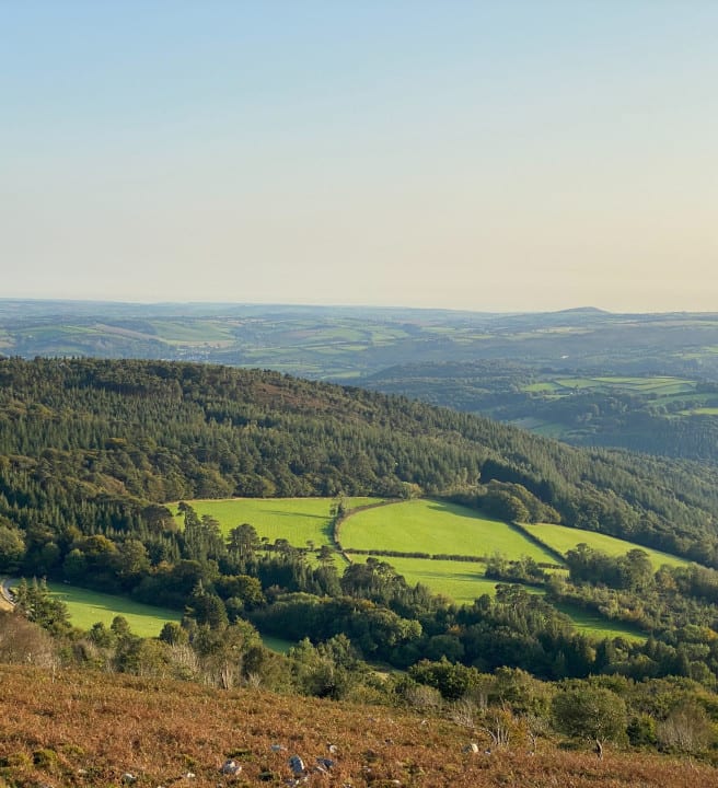 Dartmoor Walks