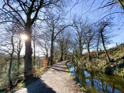 Tavistock Canal