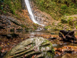 Lydford Gorge