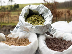 Dartmoor Brewery