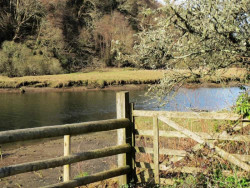 Lopwell Dam