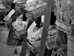 Pannier Market