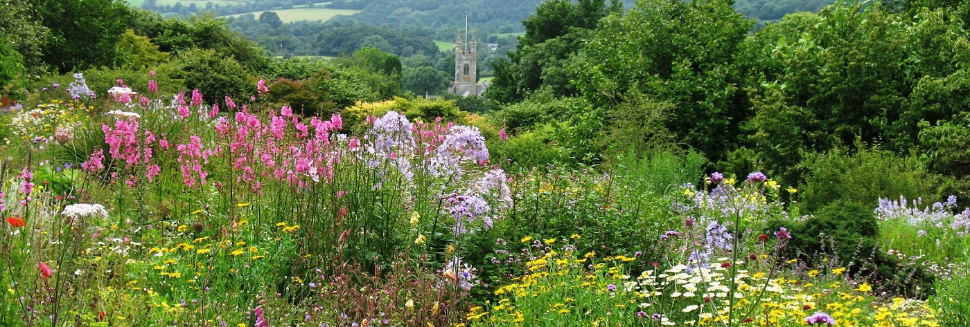 The Garden House garden near Tavistock