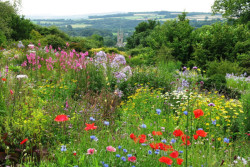 The Garden House garden near Tavistock