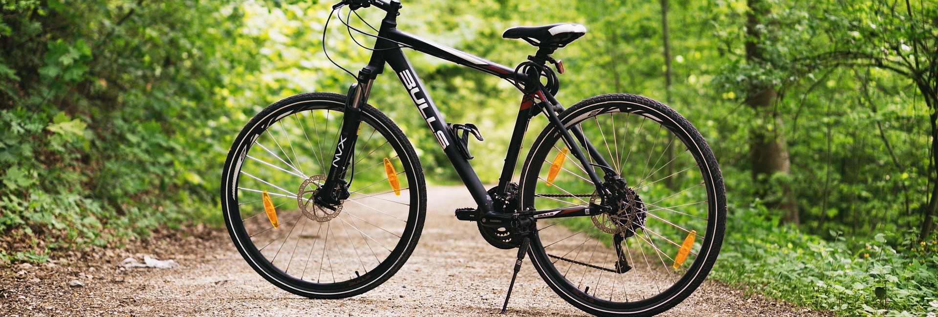Bicycle on cycle path through woodland