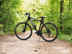 Bicycle on cycle path through woodland