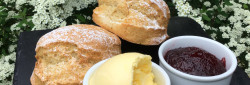 Cream tea