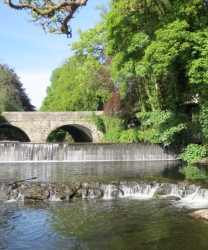 River Tavy