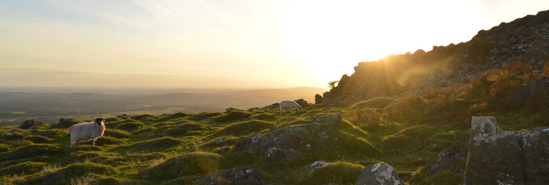 Dartmoor Sunset