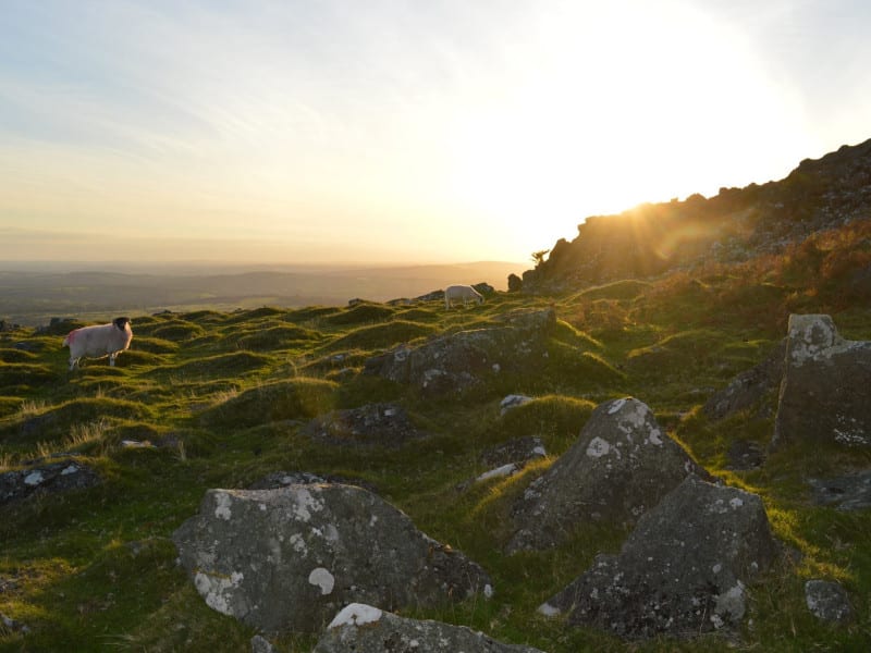 Dartmoor Sunset