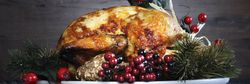 Roast turkey for Christmas