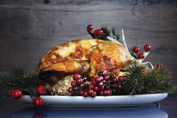 Roast turkey for Christmas