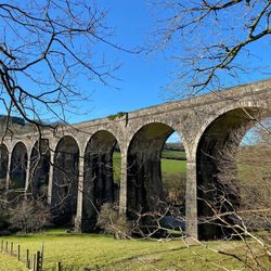 Viaduct near Tavistock