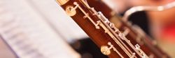 bassoon