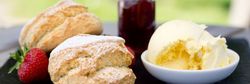 Devon Cream Tea