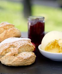 Devon Cream Tea