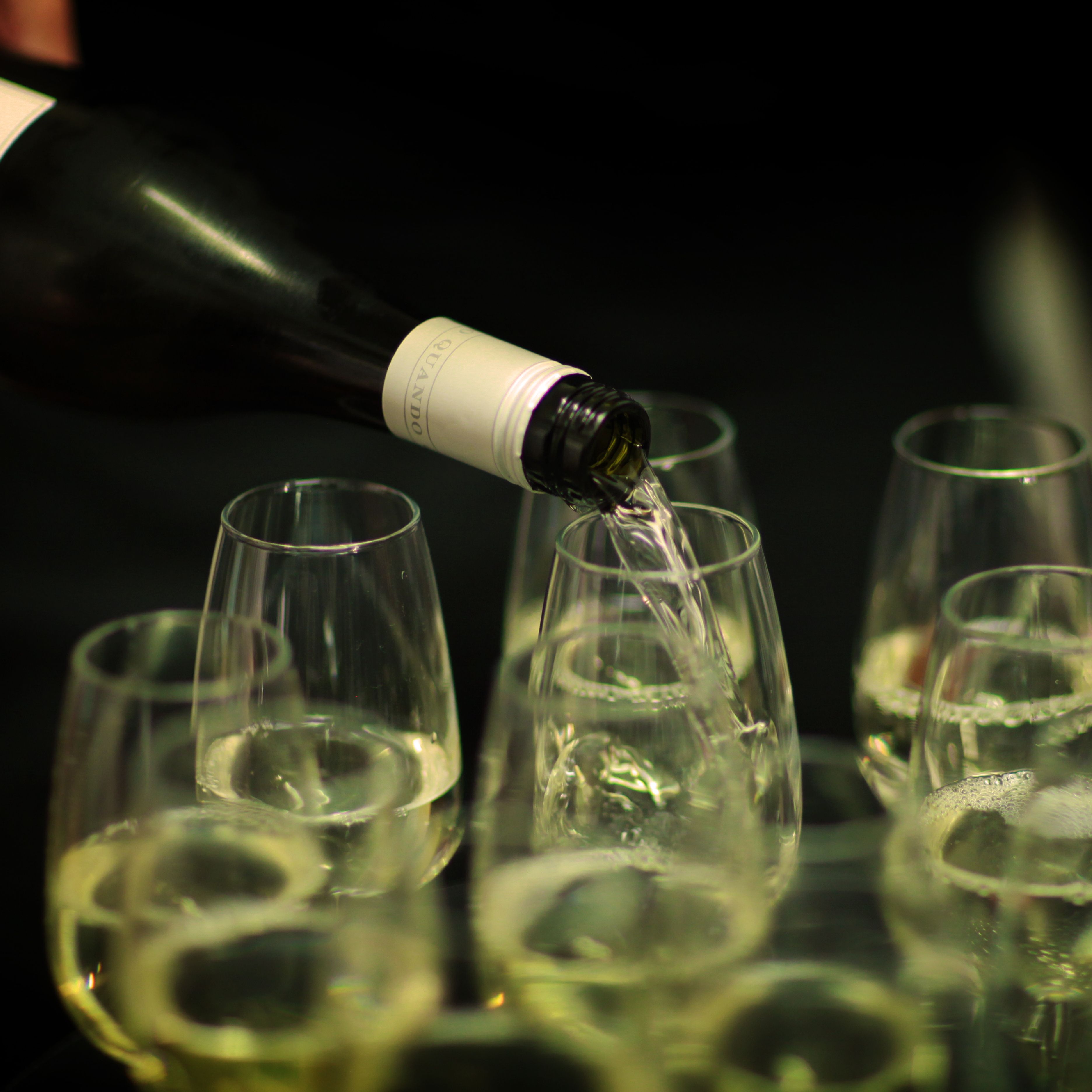 A person pouring white wine into a group of wine glasses